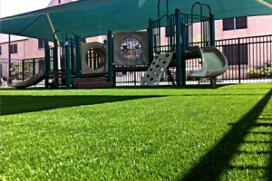 FallZone Synthetic Grass 