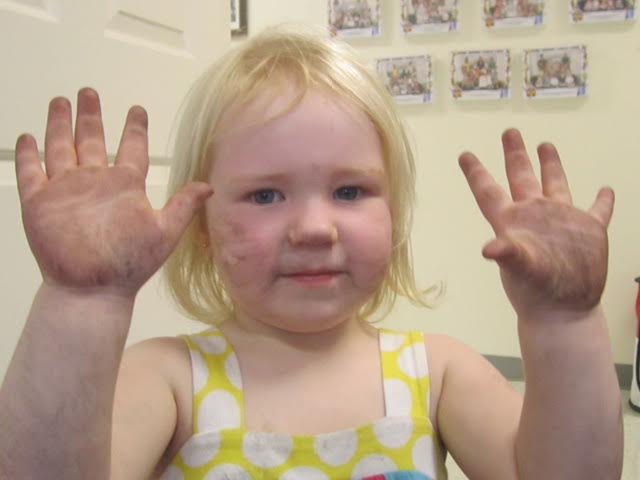 Broken Glass and Animal Feces Found in Playground Wood Chips & Rubber Mulch