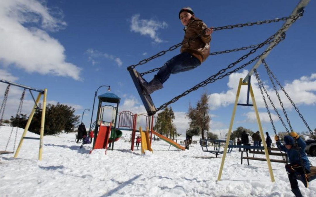 Wood Chips & Engineered Wood Fiber Do Not Meet ASTM F1292 Critical Fall Height Playground Requirements 